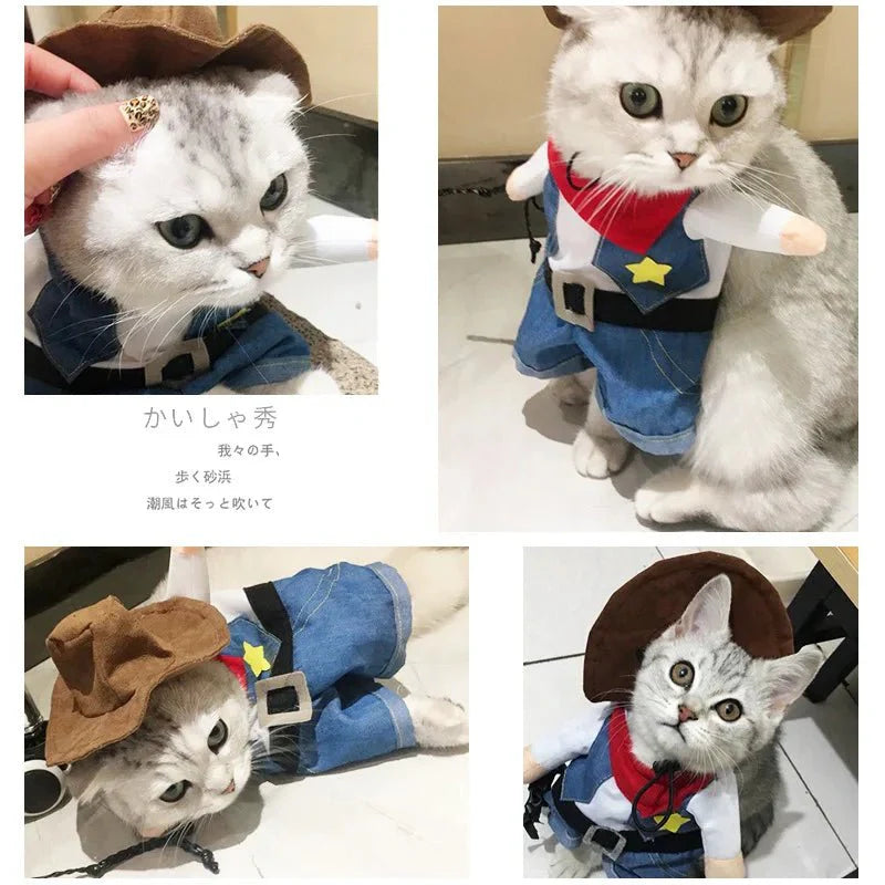 Déguisement Cowboy Chat