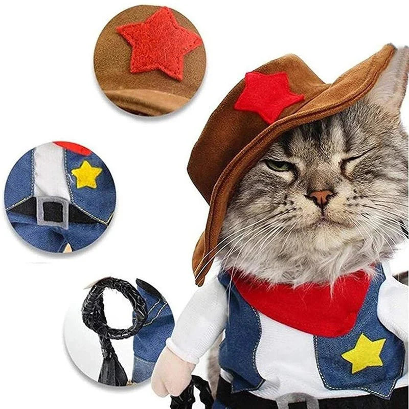 Déguisement Cowboy Chat