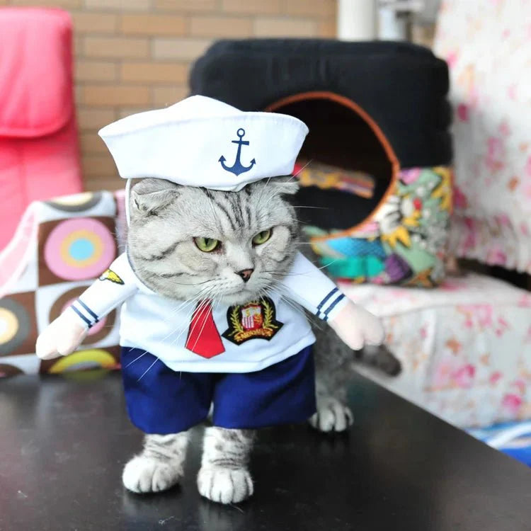 Déguisement de Marin Chat