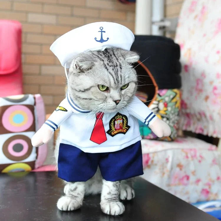 Déguisement de Marin Chat