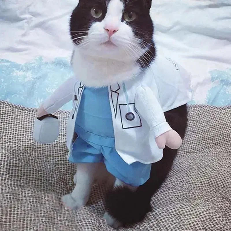 Déguisement Docteur pour Chat