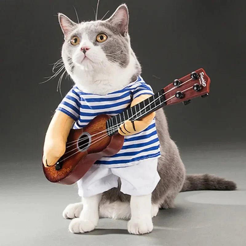 Déguisement Guitare pour Chat