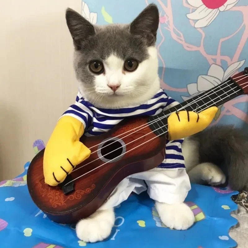 Déguisement Guitare pour Chat