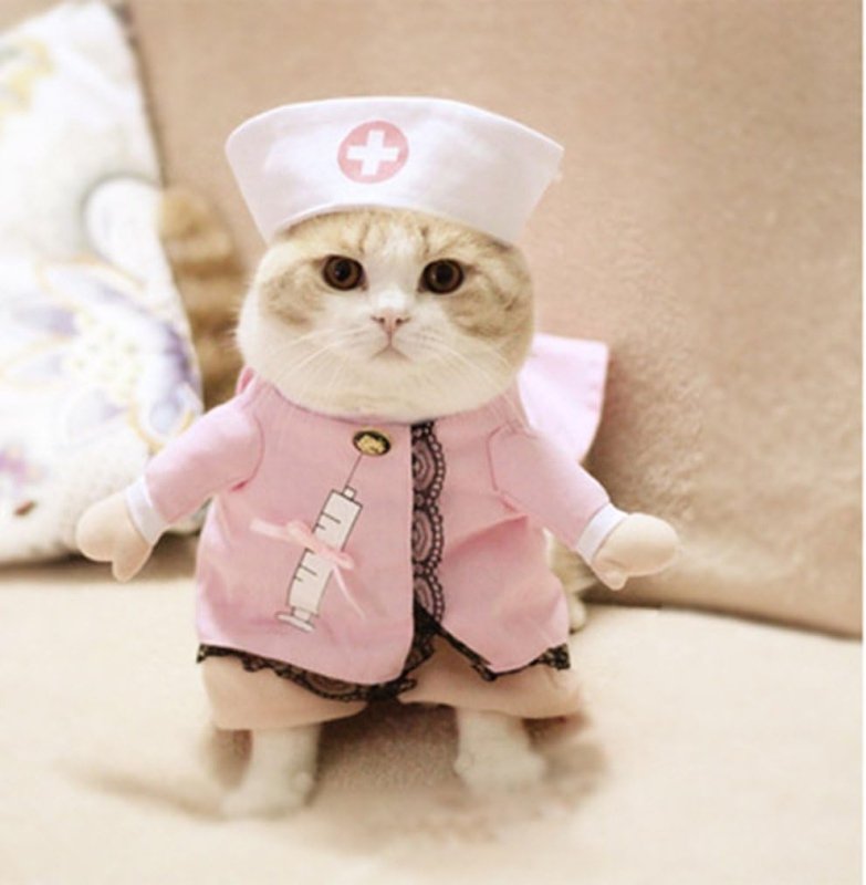 Déguisement Infirmière Chat