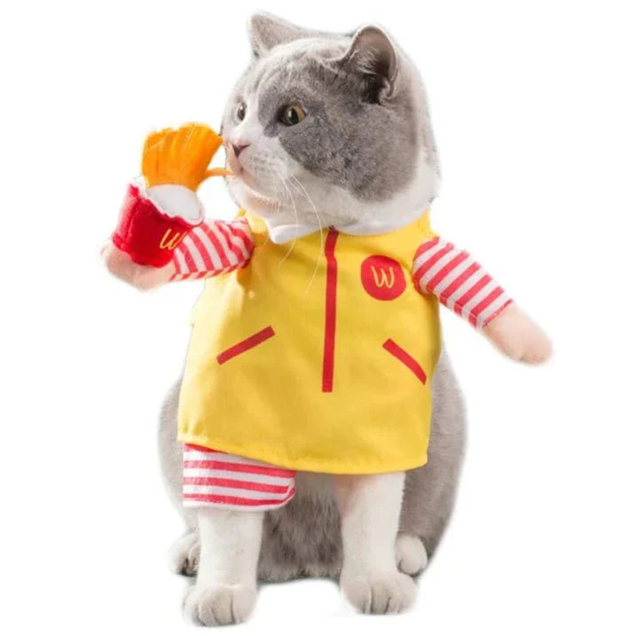 Déguisement Macdo / KFC pour Chat