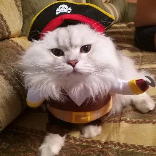Déguisement Pirate Chien