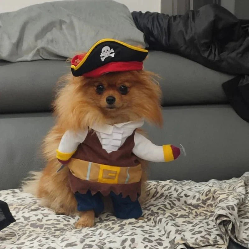 Déguisement Pirate Chien