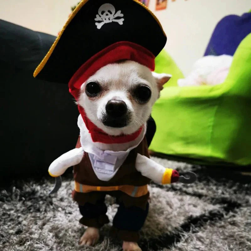 Déguisement Pirate Chien
