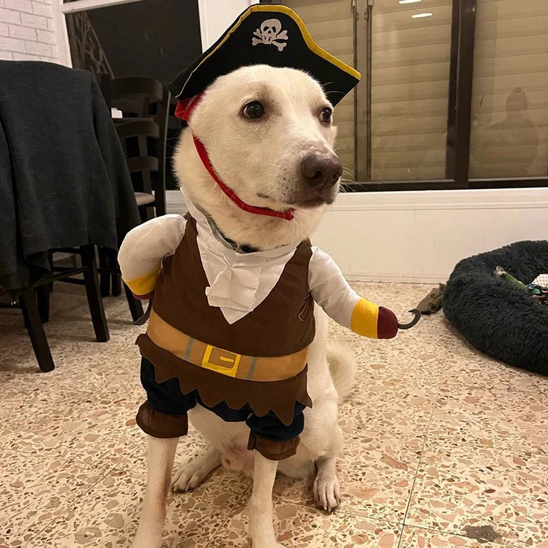 Déguisement Pirate Chien