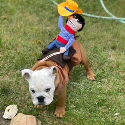 DEGUISEMENT POUR CHIEN - COWBOY
