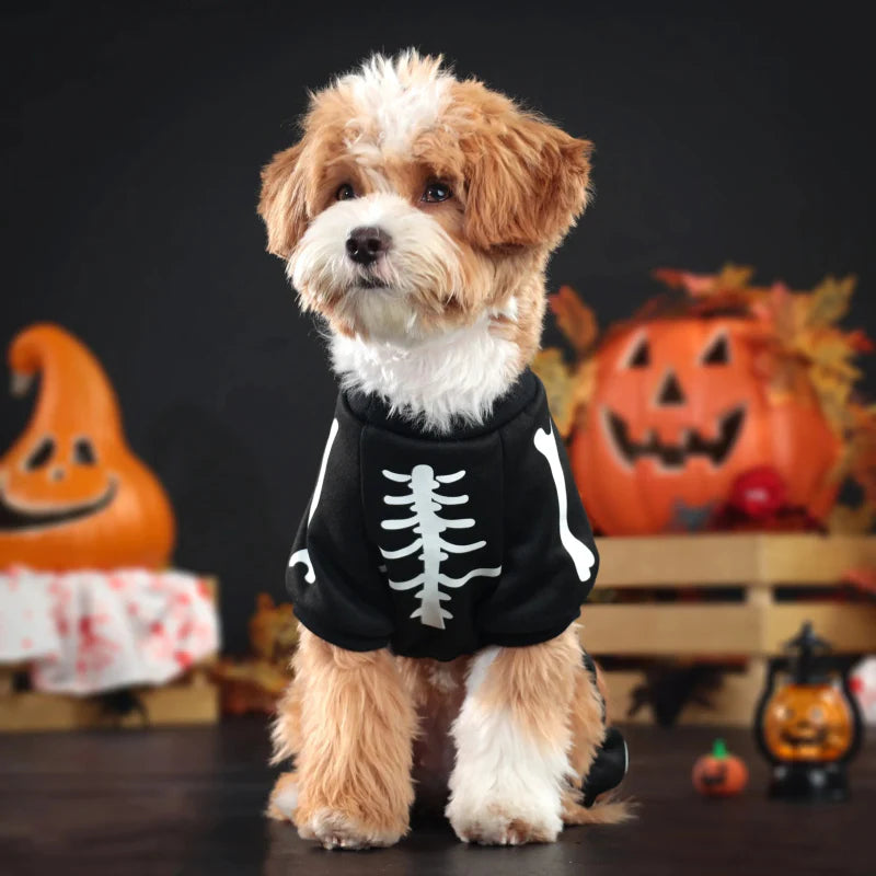 Déguisement Squelette Chien