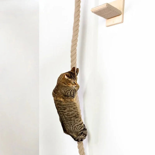 Accessoire Escalade Pour Chat Design Et Robuste