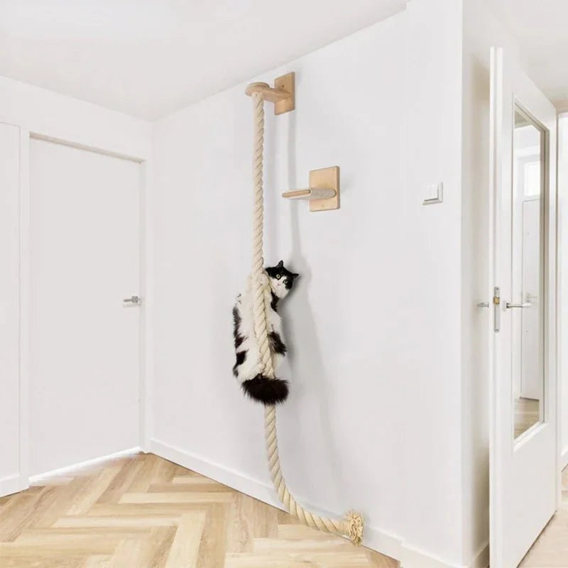 Accessoire Escalade Pour Chat Design Et Robuste