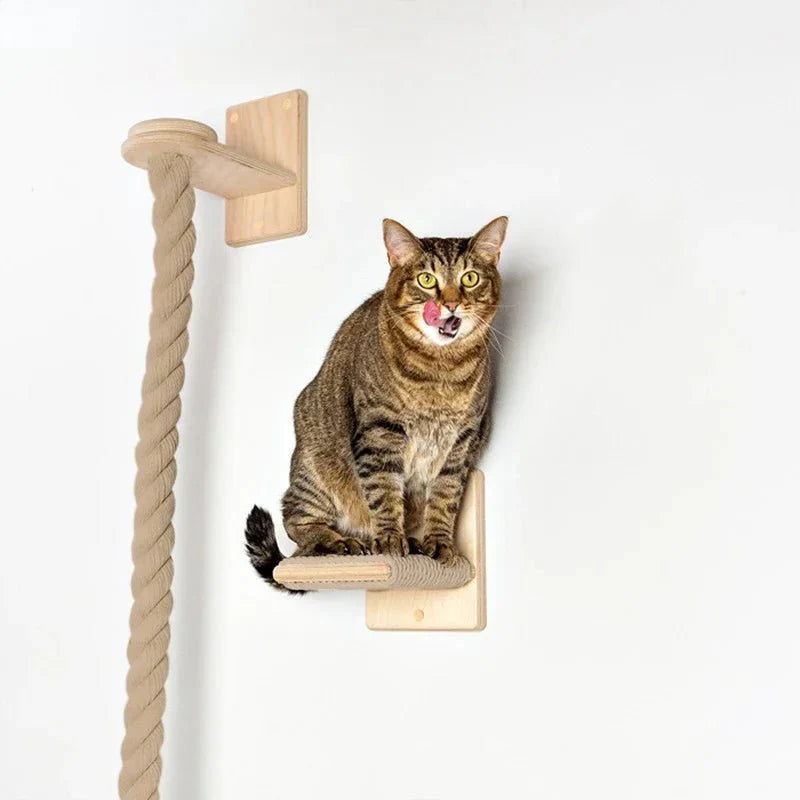 Accessoire Escalade Pour Chat Design Et Robuste