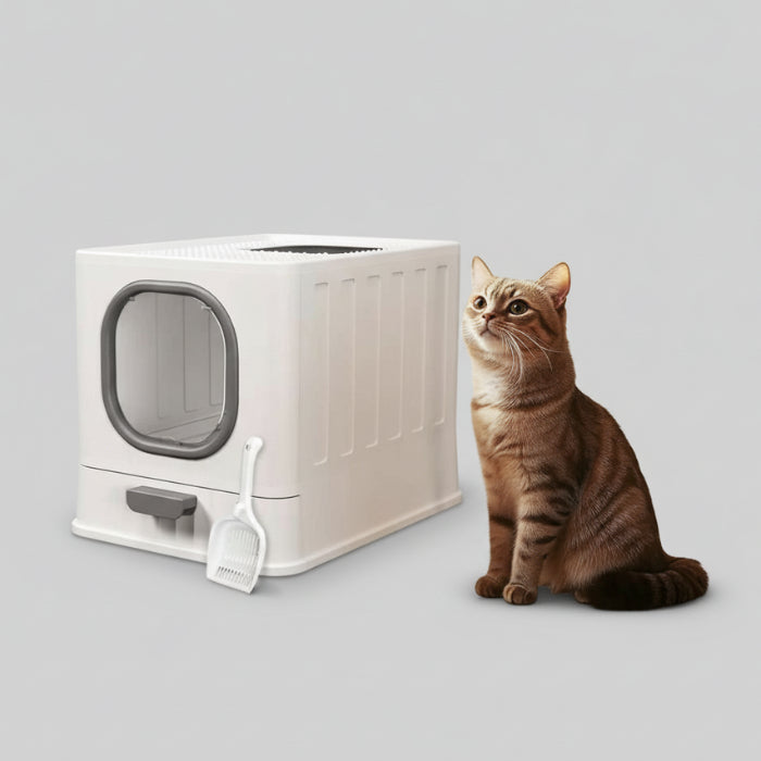Bac à Litière Design Chat Moderne et Pratique
