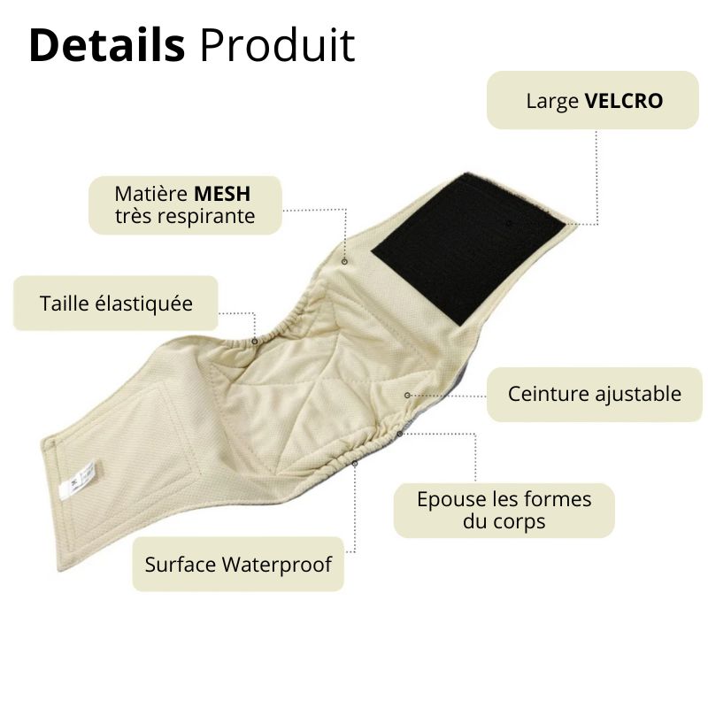 Couche pour Chien Mâle Lavable