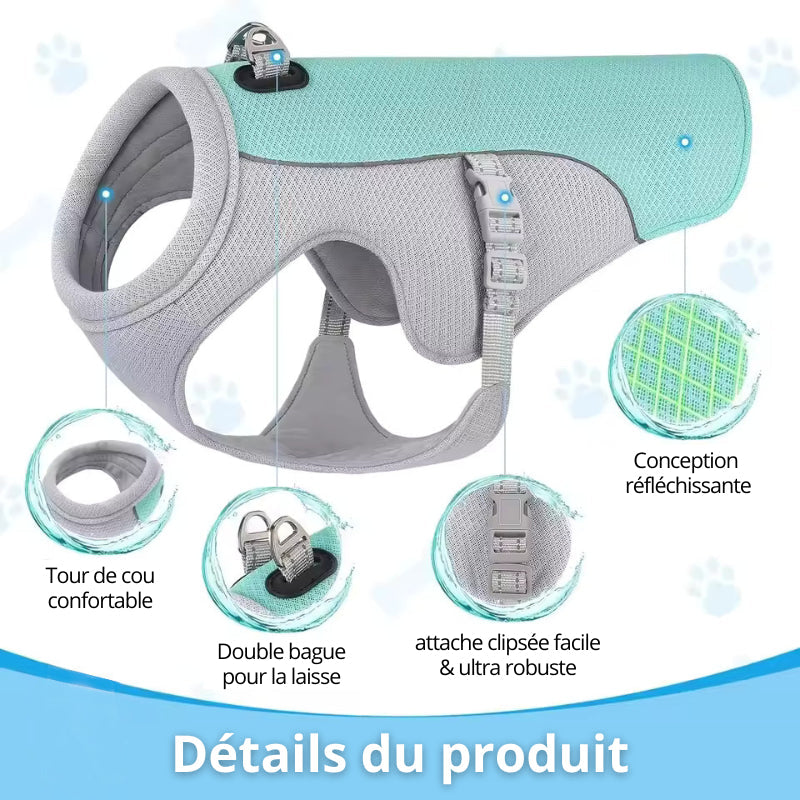 Veste Rafraîchissante pour Chien