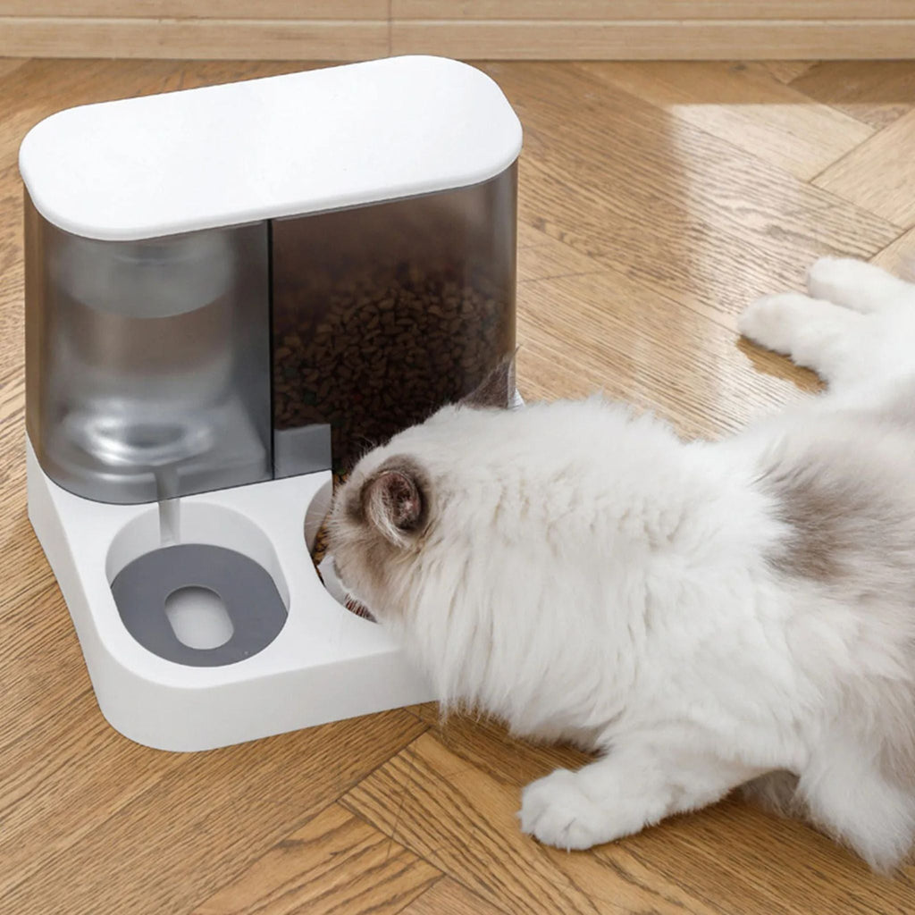 distributeur à croquette et eau Automatic Distri