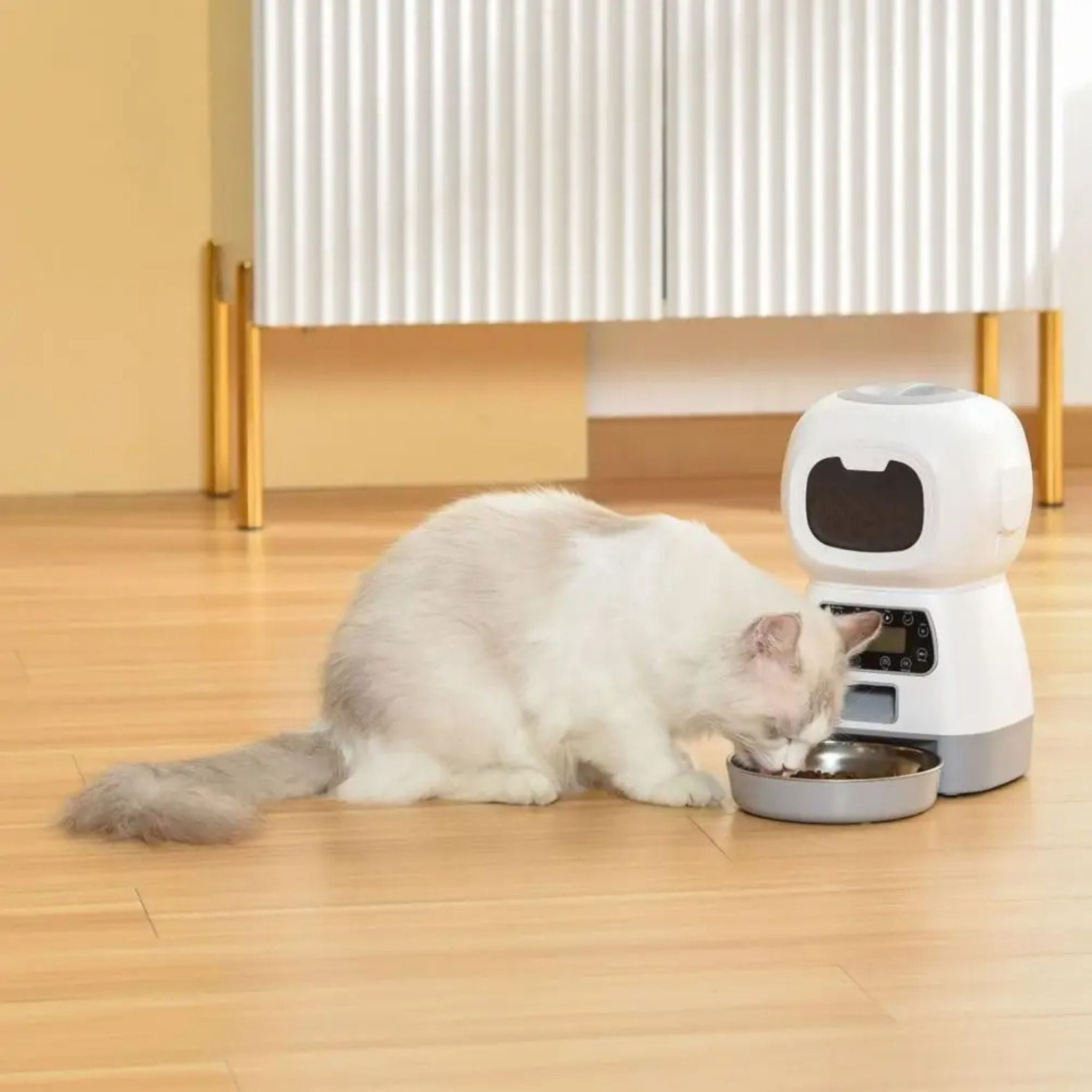 distributeur automatique croquettes chat | CROC-BOT
