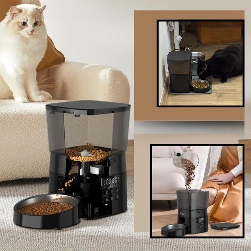 distributeur automatique croquettes chat intelligent