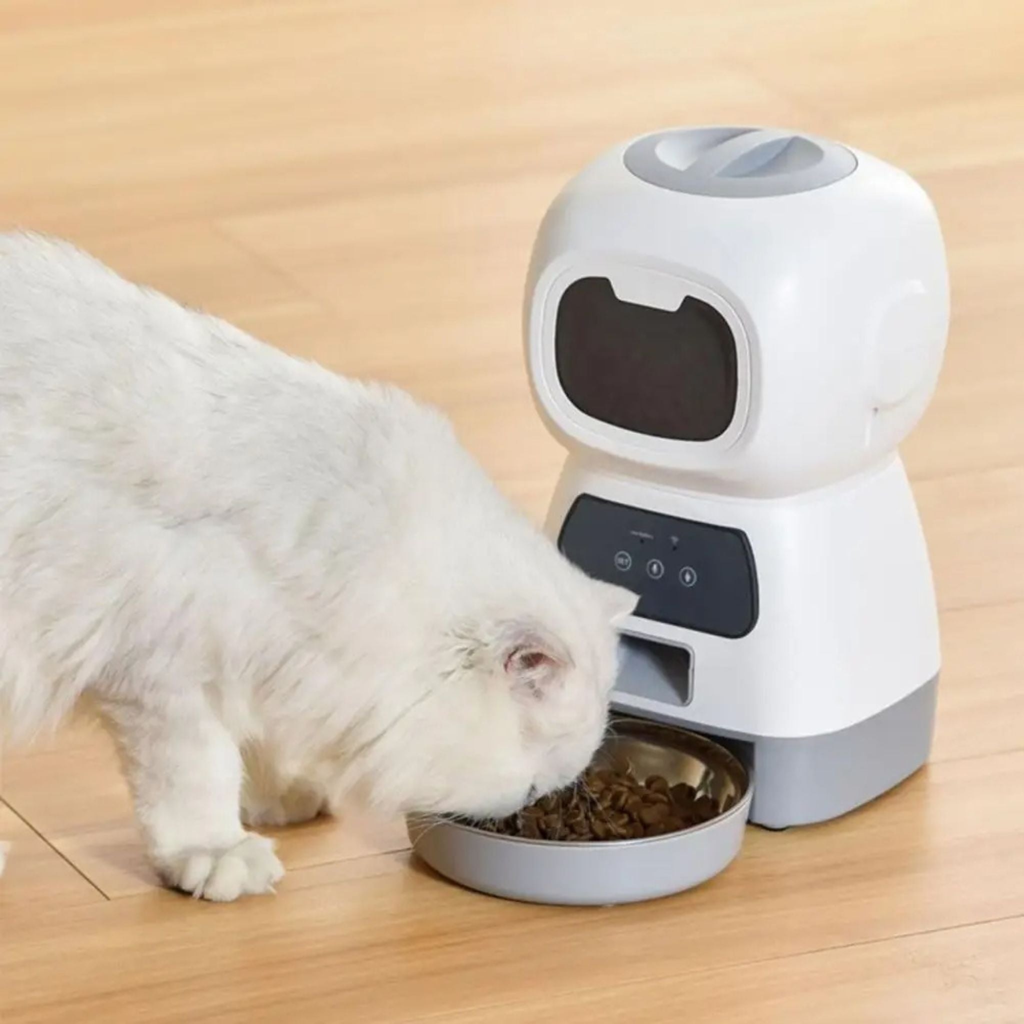 distributeur automatique croquettes chat | CROC-BOT