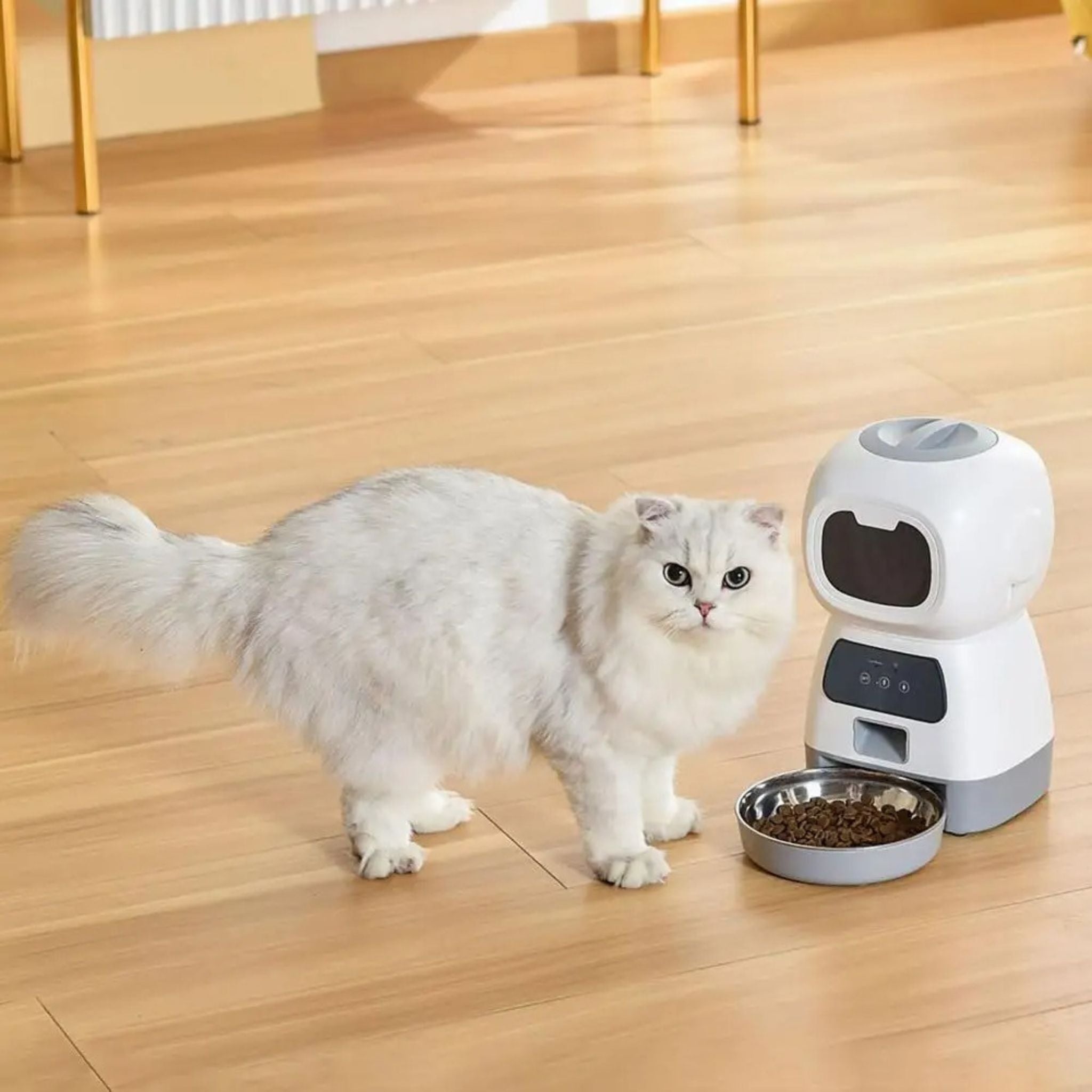 distributeur automatique croquettes chat | CROC-BOT