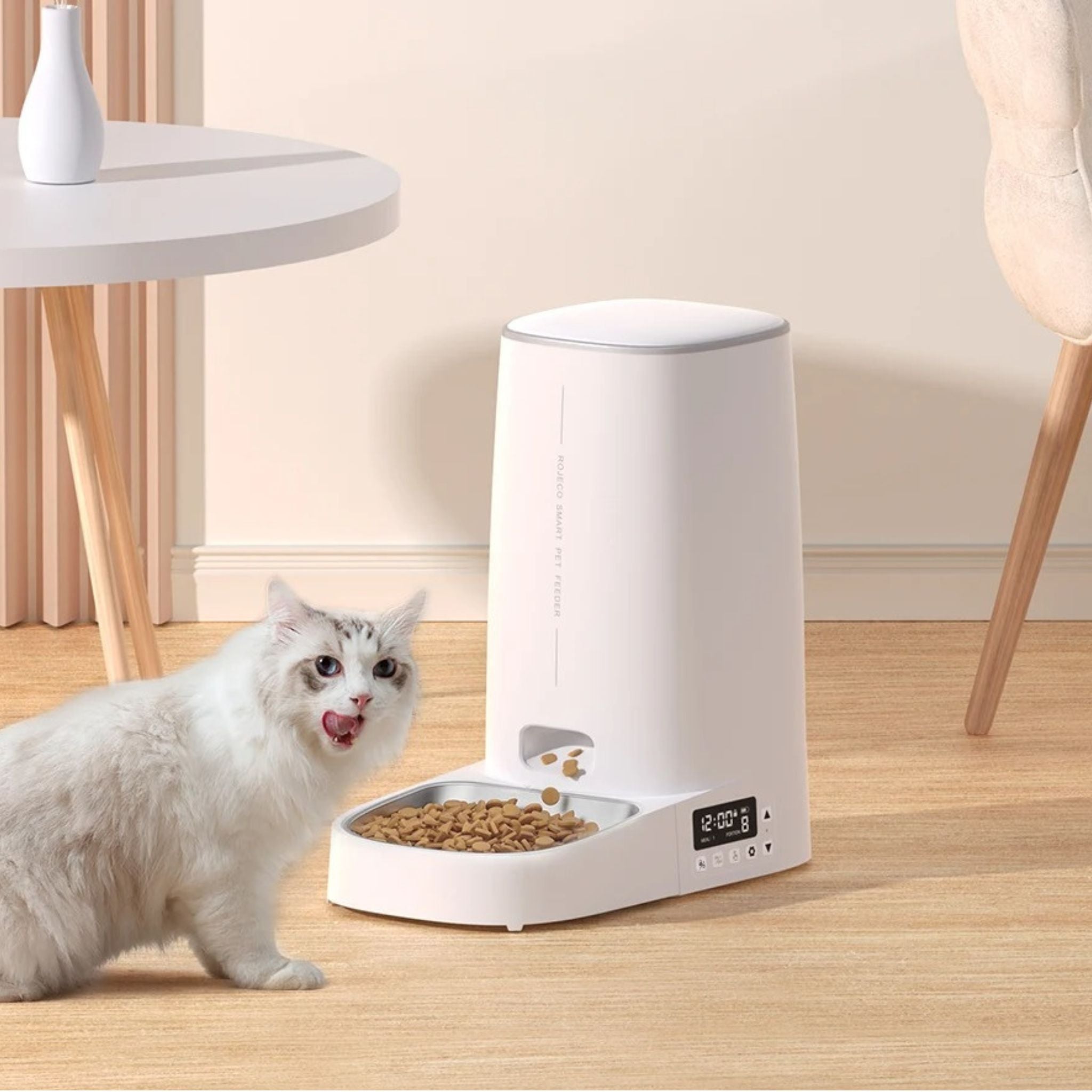 distributeur croquette chat automatique | Purr-Fect