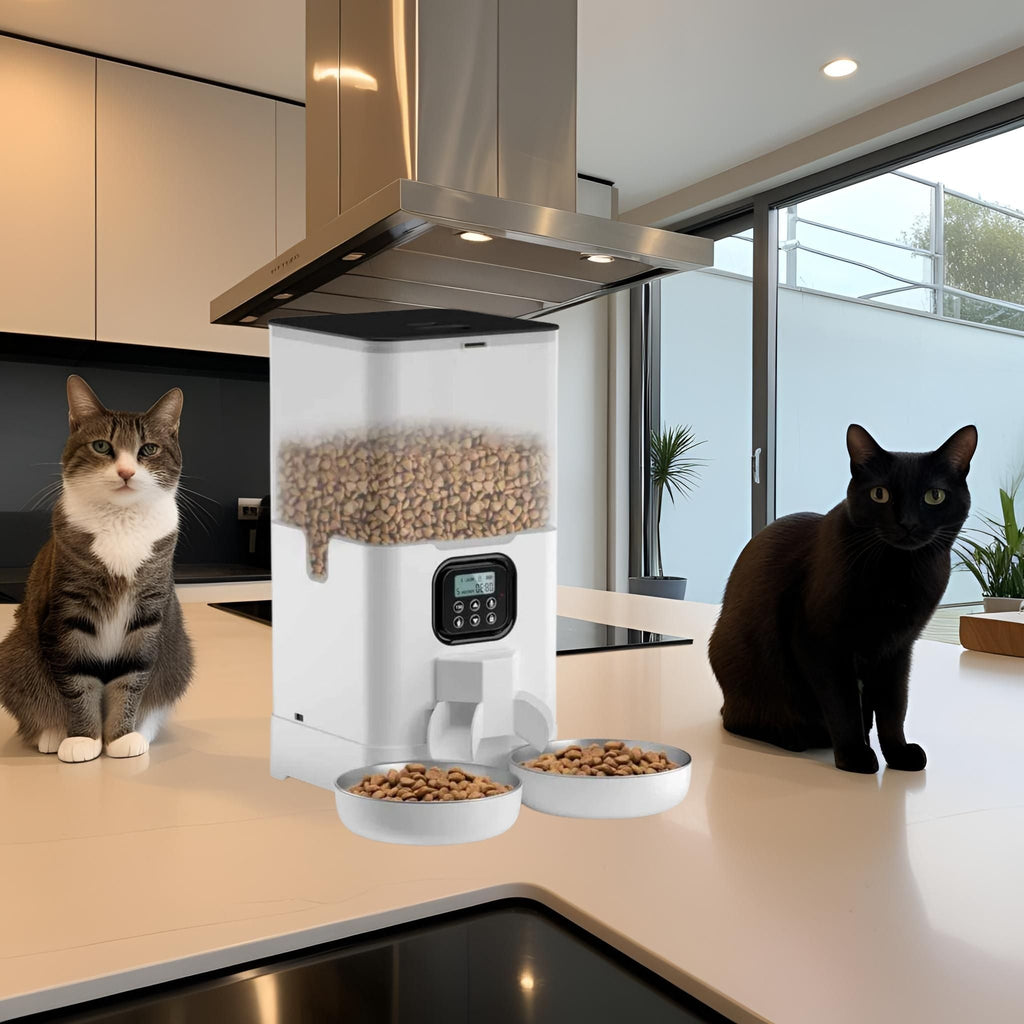 distributeur croquette chat | Duo Gourmand