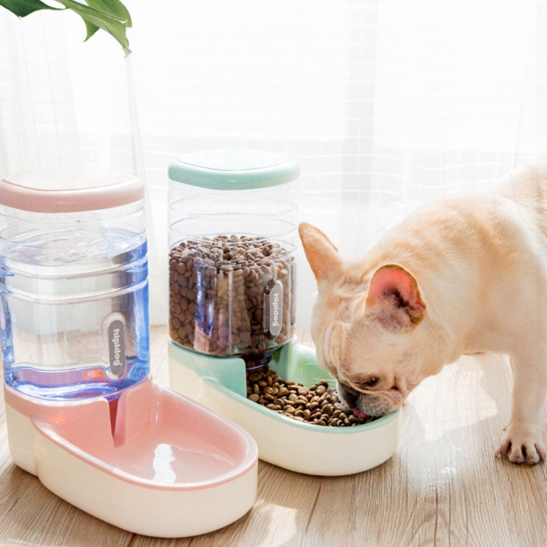 Distributeur croquette chien | Fidèl'Gamelle™