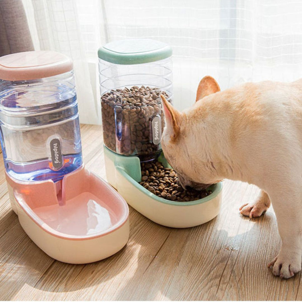 Distributeur croquette chien | Fidèl'Gamelle™