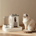 Distributeur croquette eau chat gris
