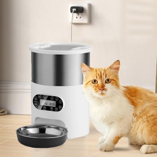 Distributeur croquettes chat automatique | Ration Idéale