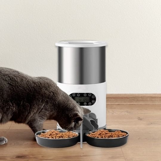 Distributeur croquettes chat automatique | Ration Idéale