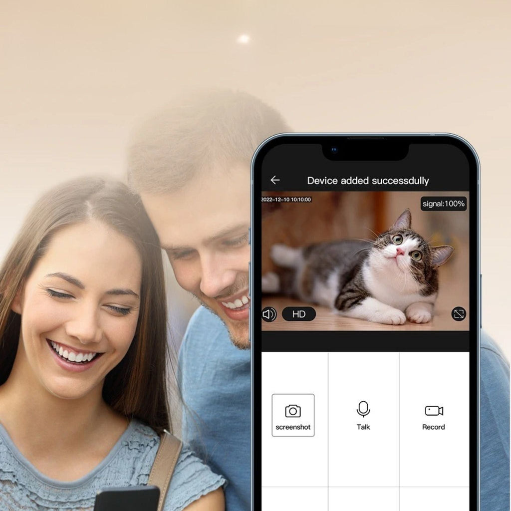 distributeur croquettes chat vidéo