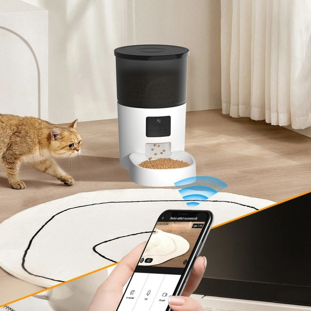 distributeur croquettes chat vidéo