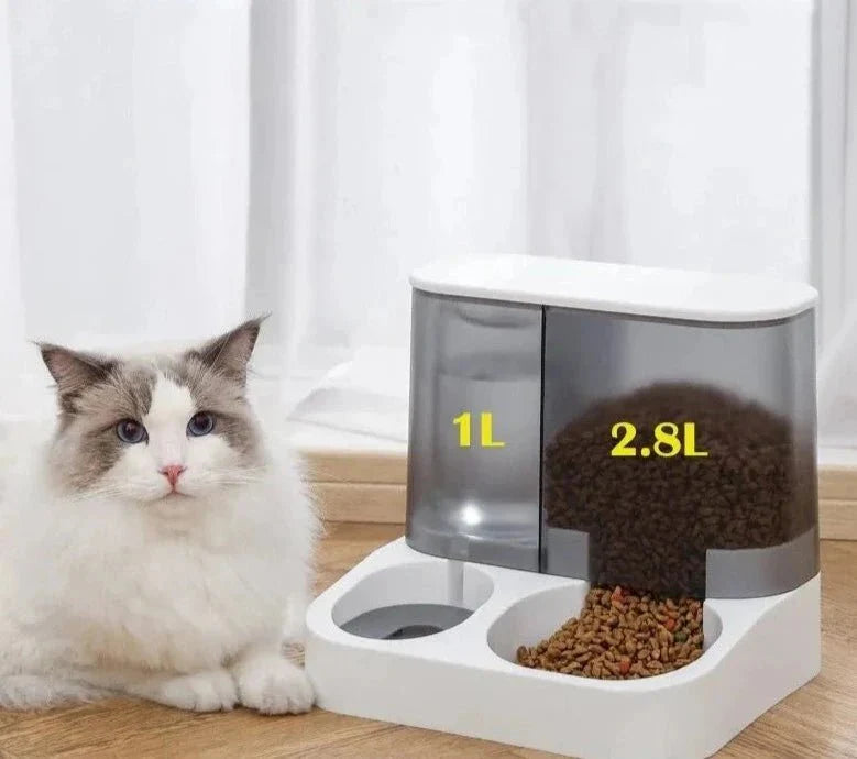 Distributeur Croquettes Chat Automatique Eau - Oscar et Plume