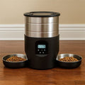 distributeur de croquettes automatique pour chat design
