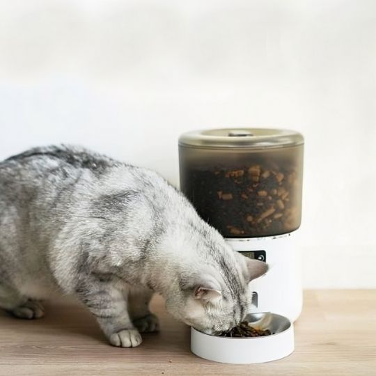 distributeur de croquettes chat automatique