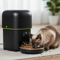 distributeur-de-croquettes-chat-épuré