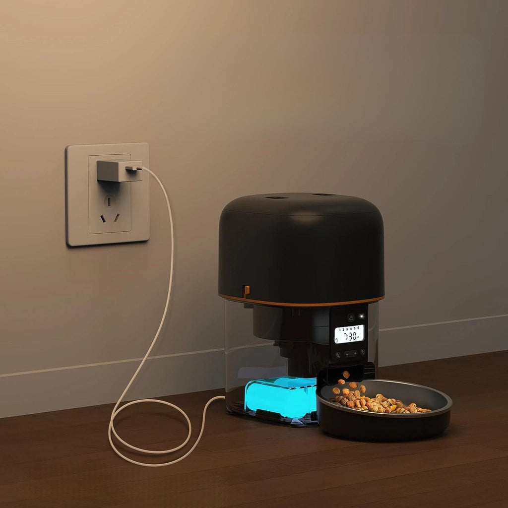 distributeur de croquettes chat | CatChef Automatique