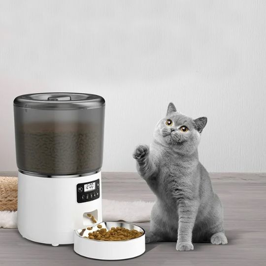distributeur de croquettes chat automatique