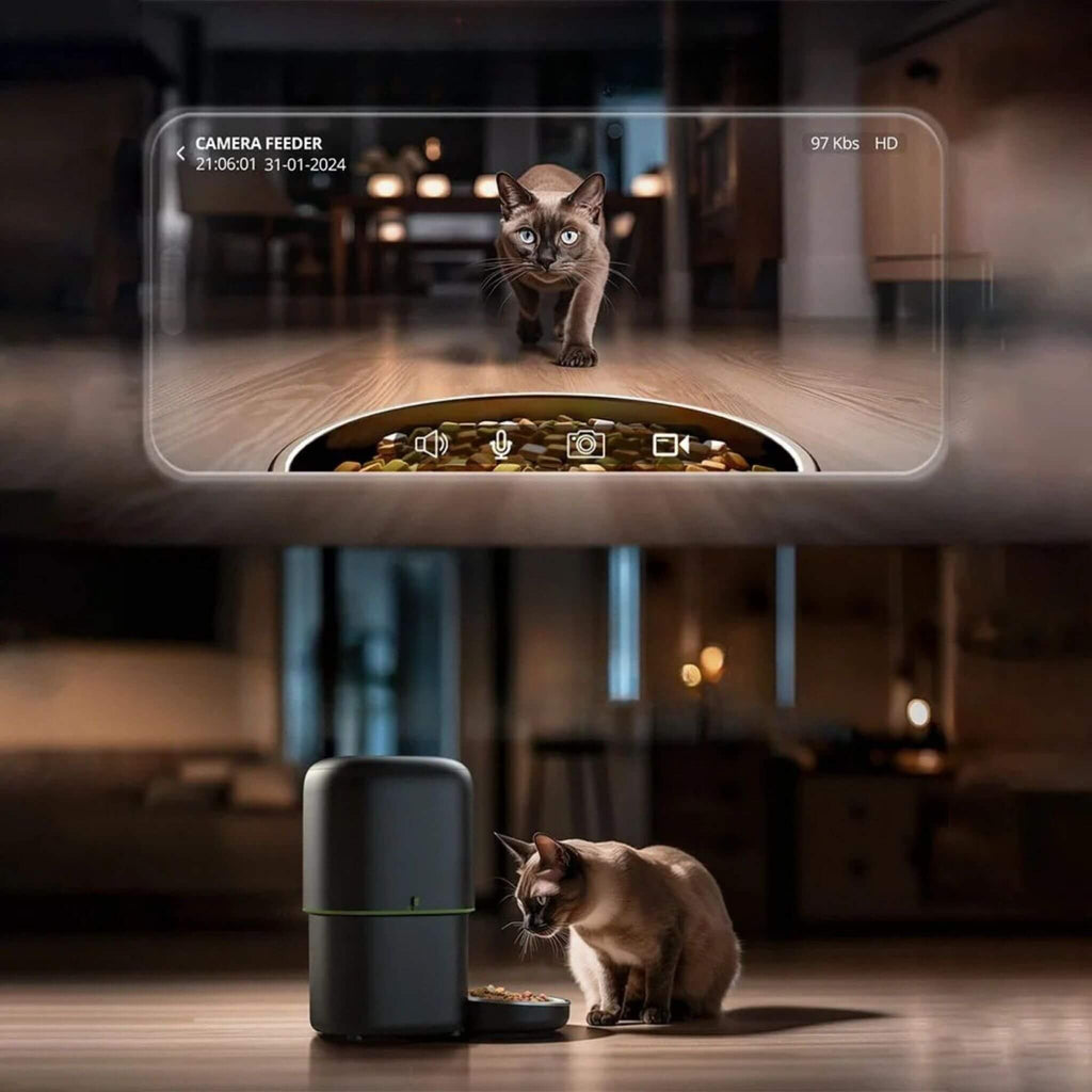 distributeur de croquettes chat | CatChef Automatique
