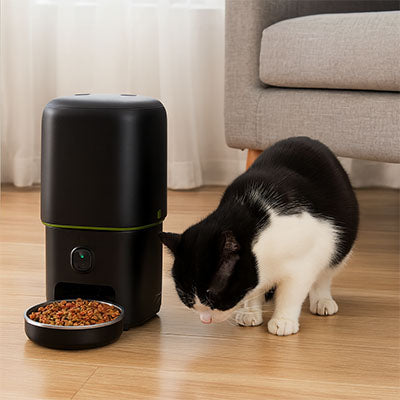 distributeur de croquettes chat | CatChef Automatique