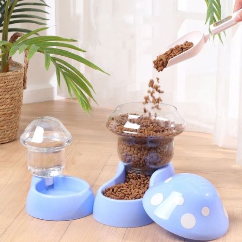 distributeur de croquettes et eau champignon