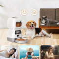 distributeur-de-croquettes-pour-chien-automatique