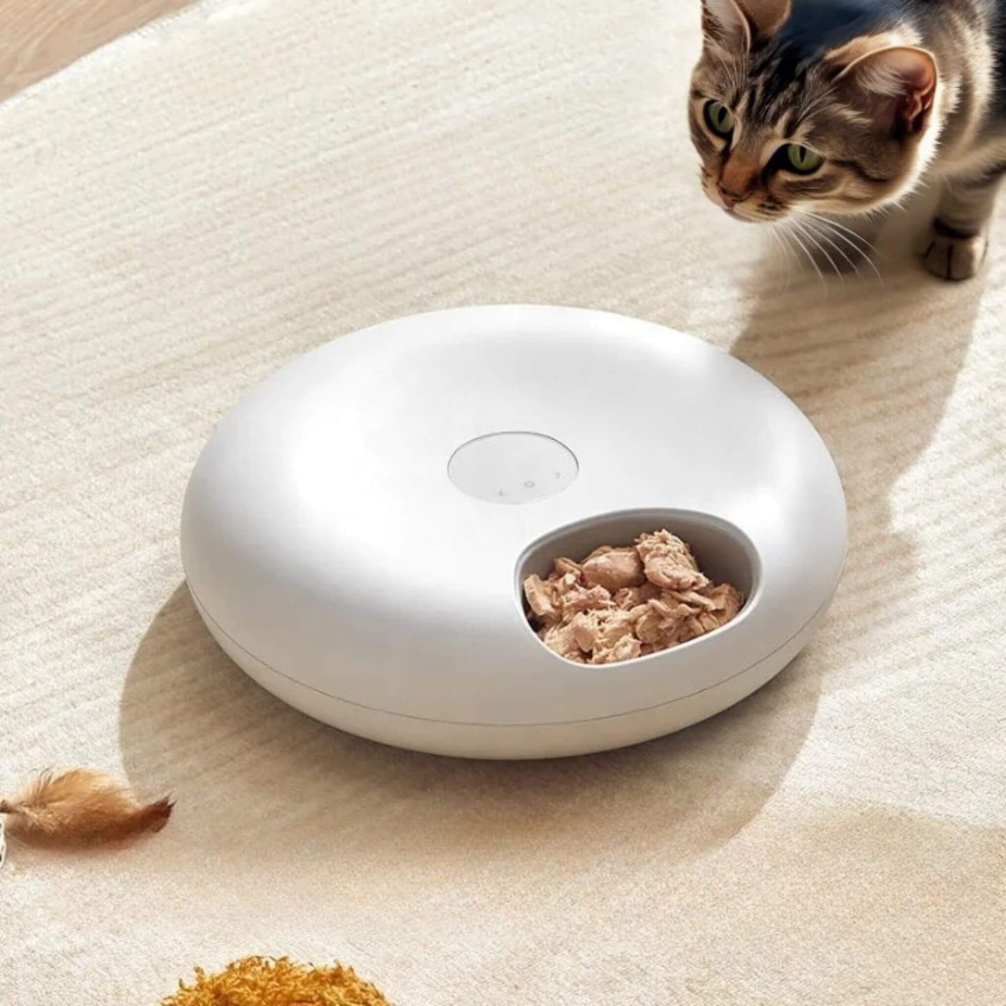 DISTRIBUTEUR DE PATEE POUR CHAT | Gourmet Frigo