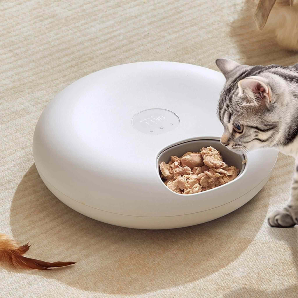 DISTRIBUTEUR DE PATEE POUR CHAT | Gourmet Frigo