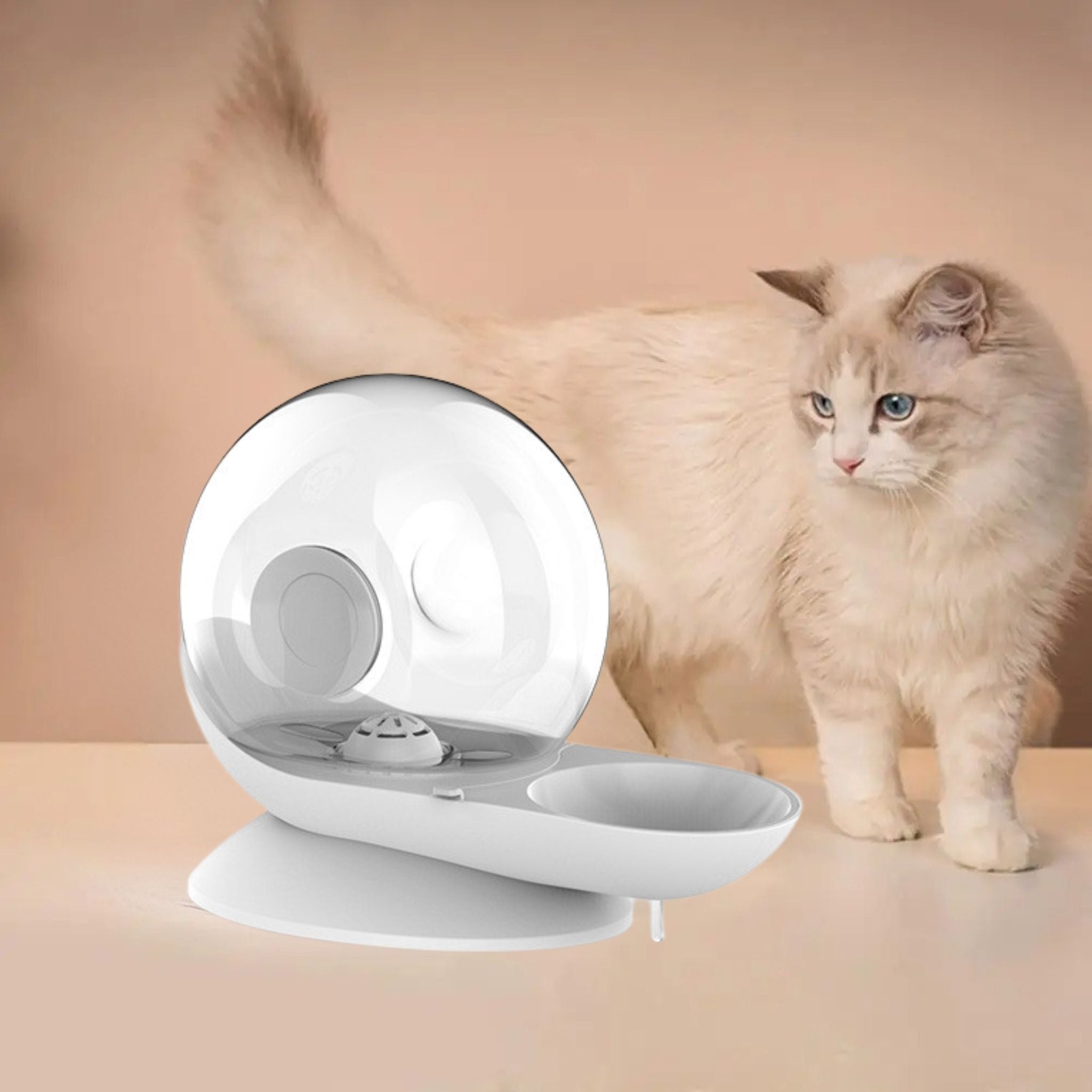 distributeur-eau-chat-escargot-gris-blanc