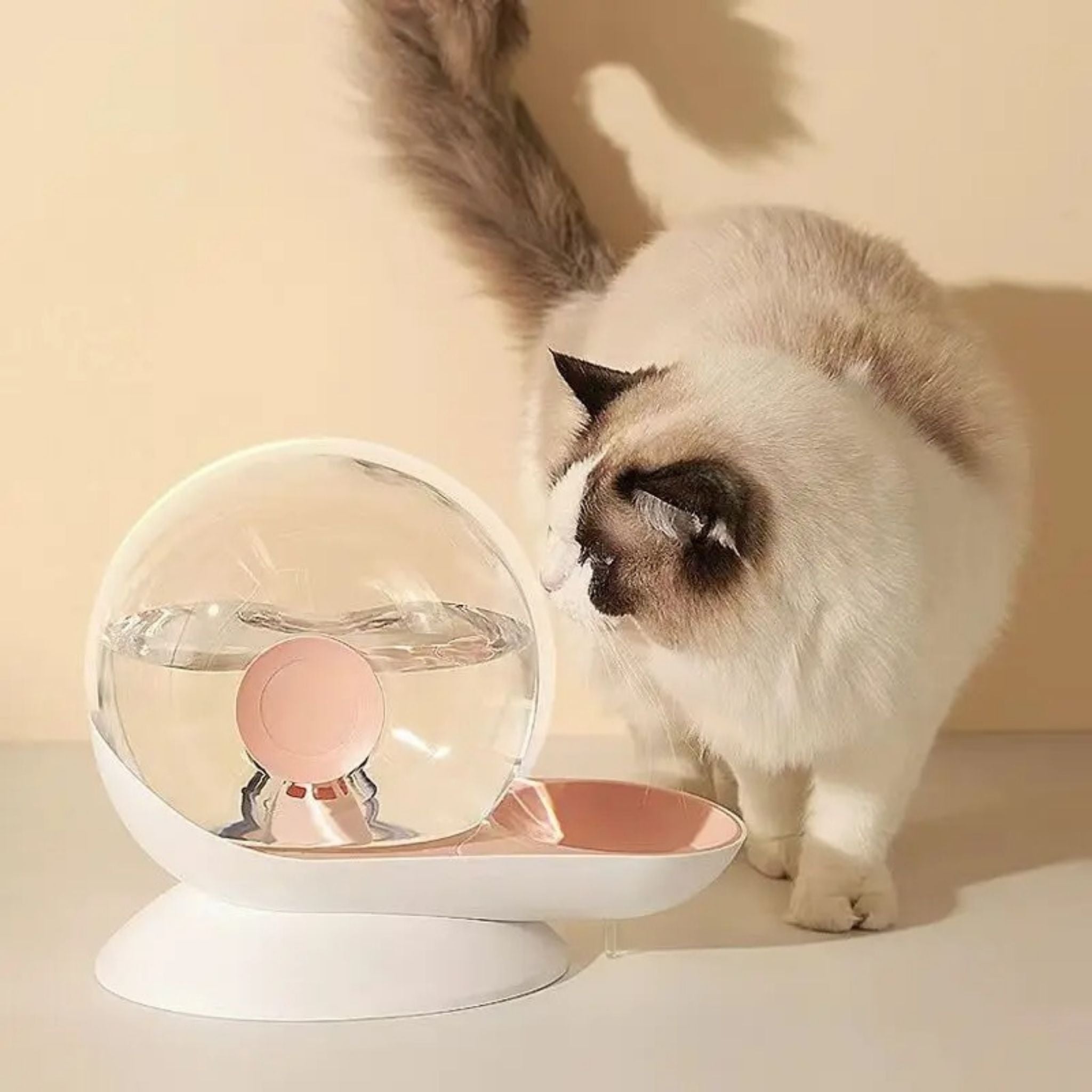 distributeur-eau-chat-escargot-rose-blanc