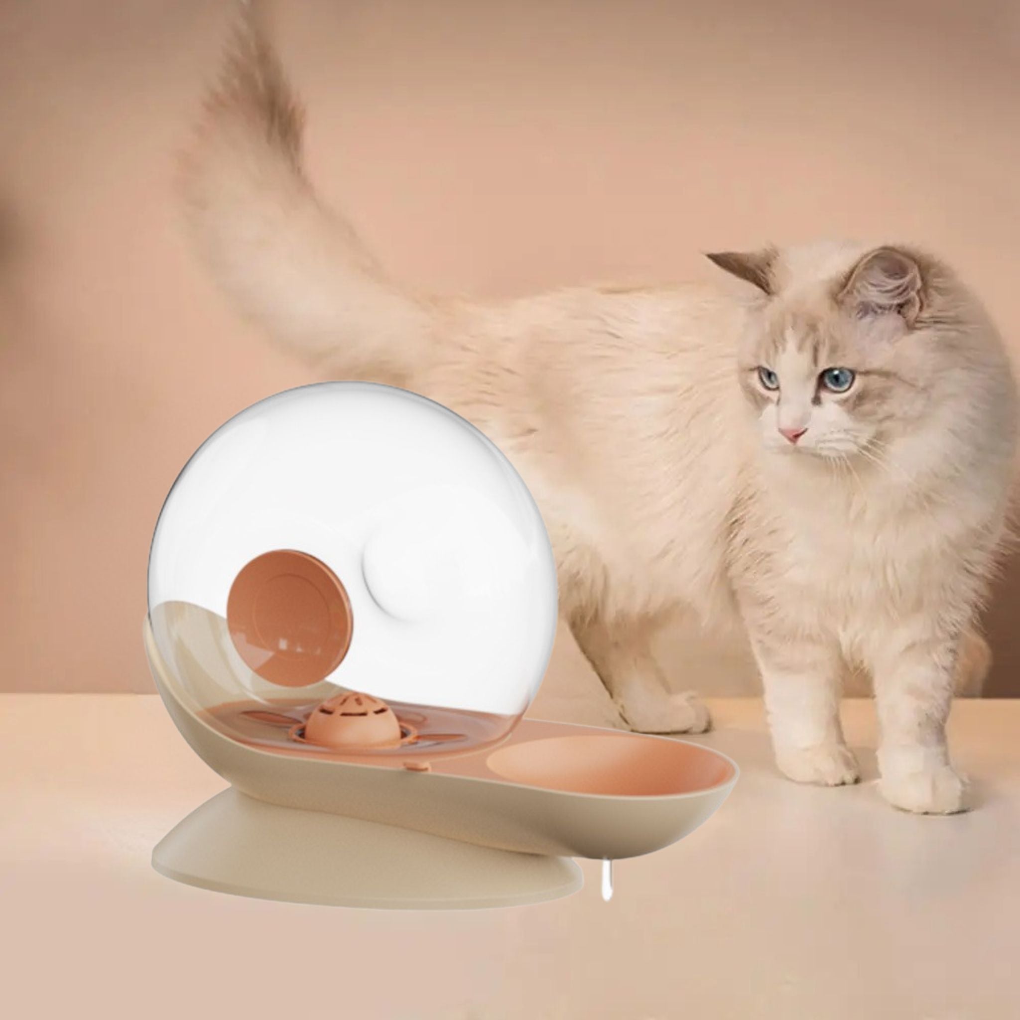 distributeur-eau-chat-escargot-rose